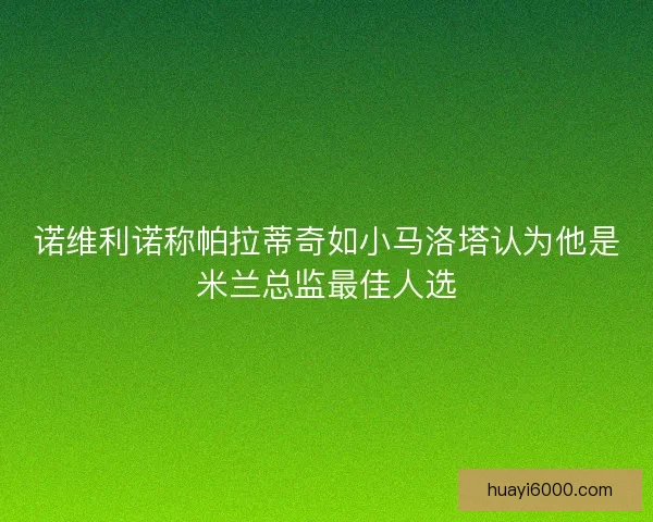 诺维利诺称帕拉蒂奇如小马洛塔认为他是米兰总监最佳人选